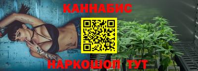 стаф Шебекино